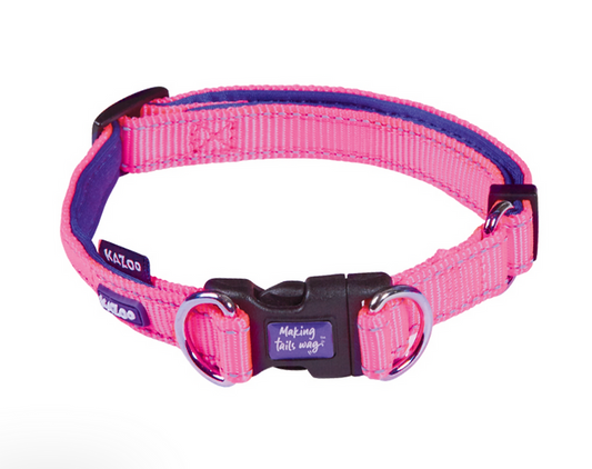 Kazoo Active Adjustable Dog Collar Bloom Burst