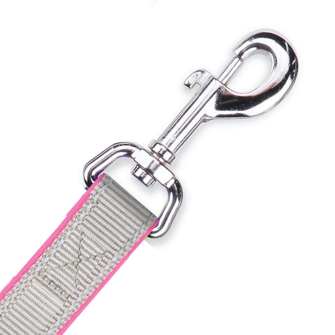 Kazoo Active Dog Lead Silver/Pink