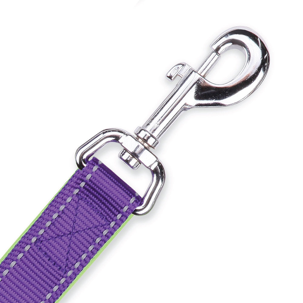 Kazoo Active Dog Lead Purple/Lime