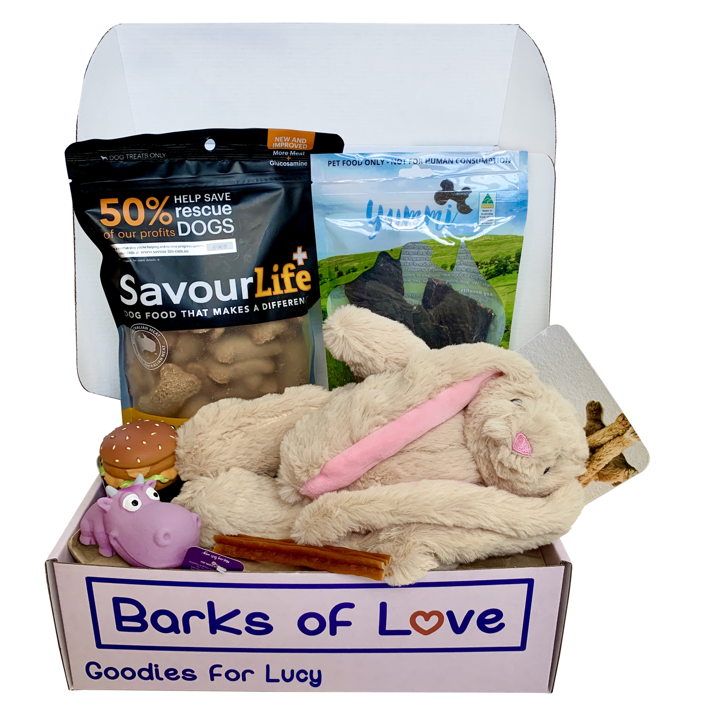 Monthly Subscription Box - Little Dogs